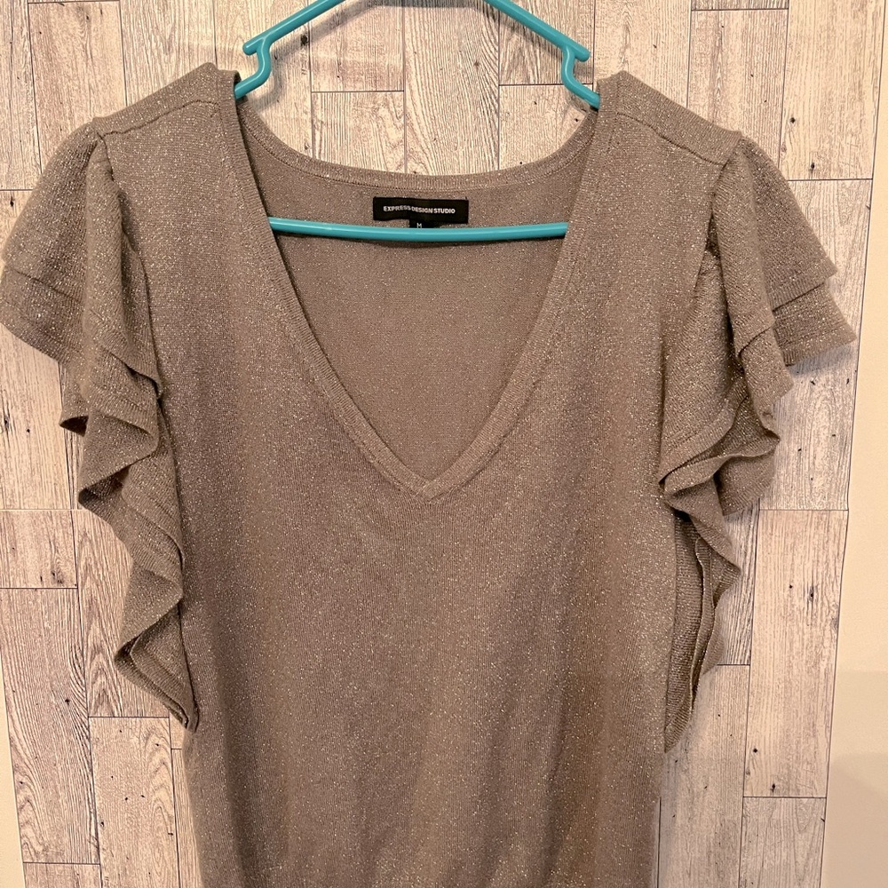 Express dressy/party top